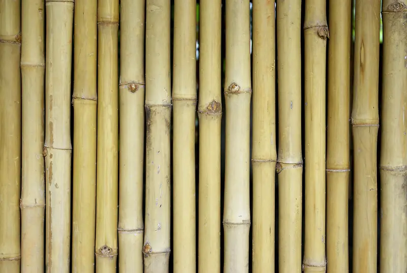 竹子背景底纹