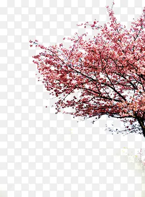 粉色水墨唯美意境大树花朵