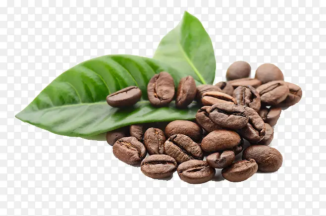 叶子和咖啡豆