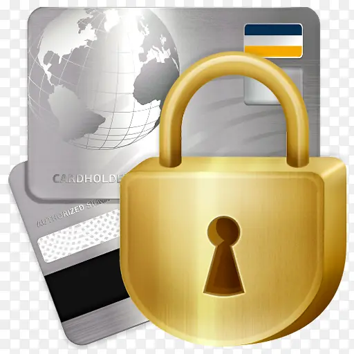 安全信用卡professional-e-commerce-i