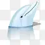 动物海豚鱼MySQL水上漂流
