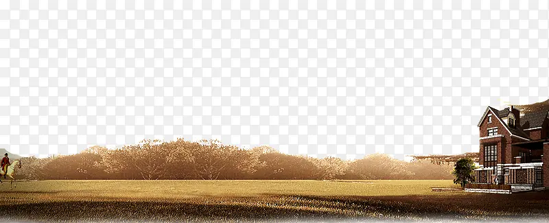 秋季黄色土地树叶背景