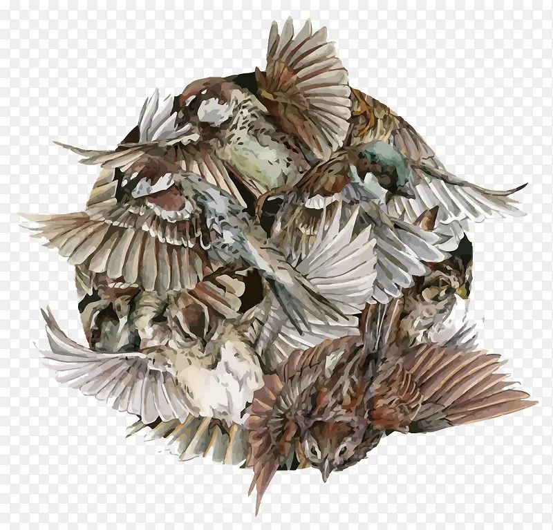 矢量手绘鸟