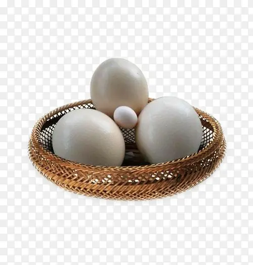 鸵鸟蛋鸡蛋儿