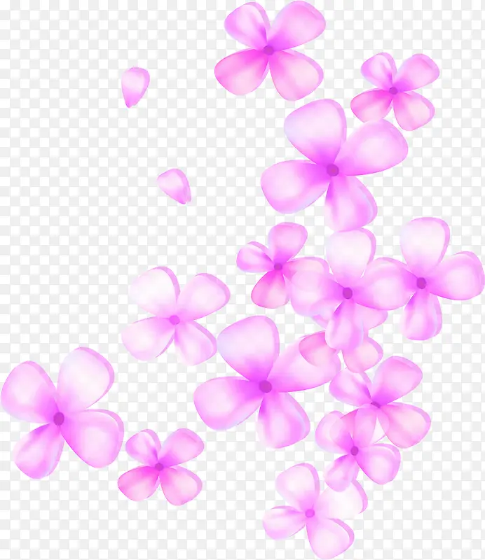 粉色花朵减肥食谱图片