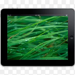 iPad景观草背景图标