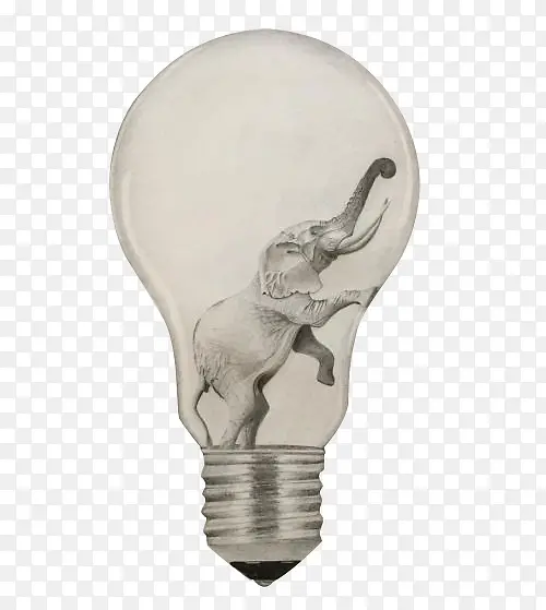 灯泡里的大象