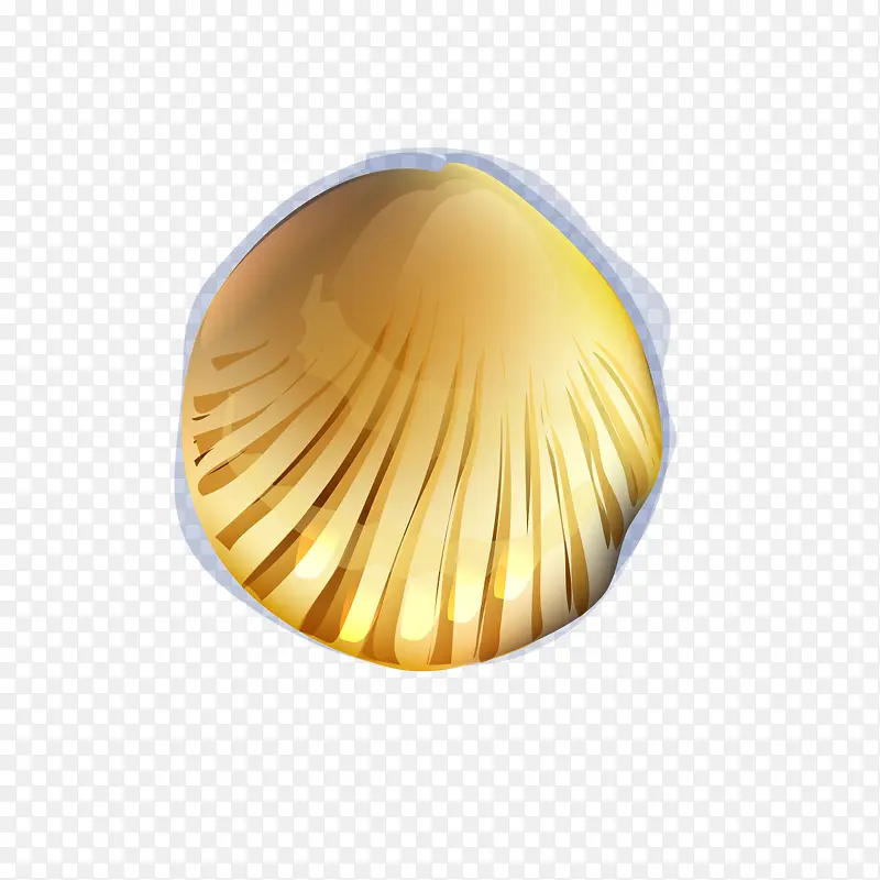 金色的贝壳