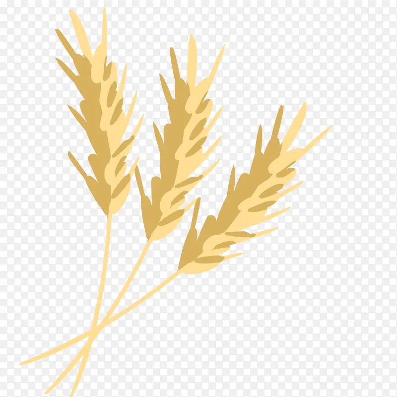 卡通手绘小麦植物设计