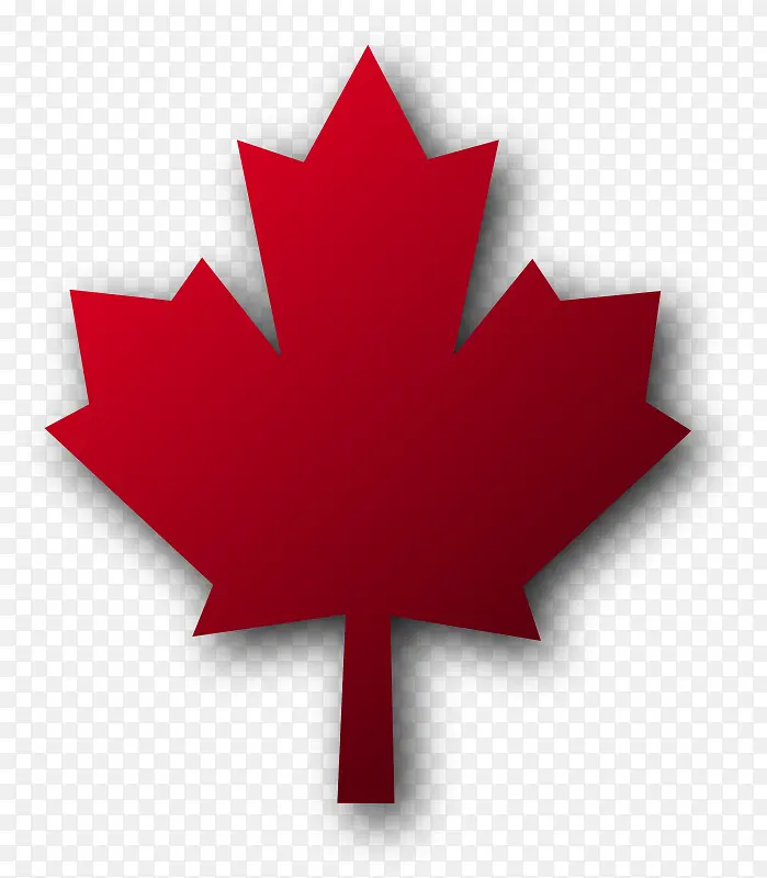 加拿大的标志红枫叶