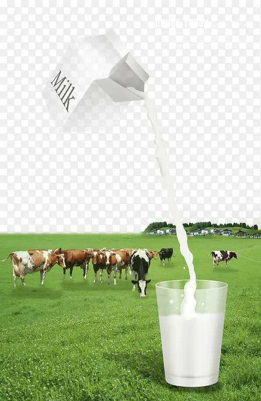 牛奶草原