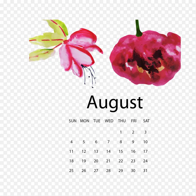 2019八月水彩植物年历