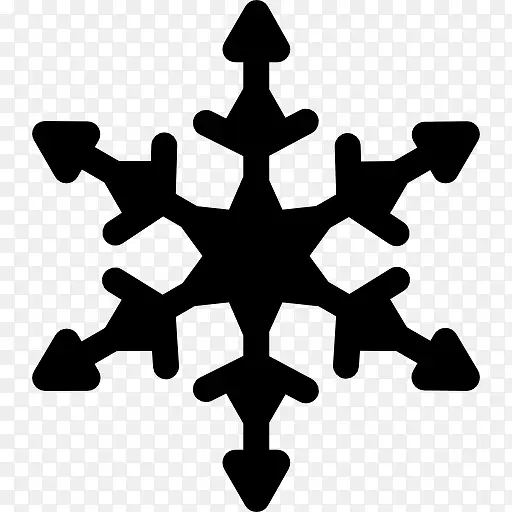 Snowflake 图标PNG图片素材下载_图片编号8790812-PNG素材网