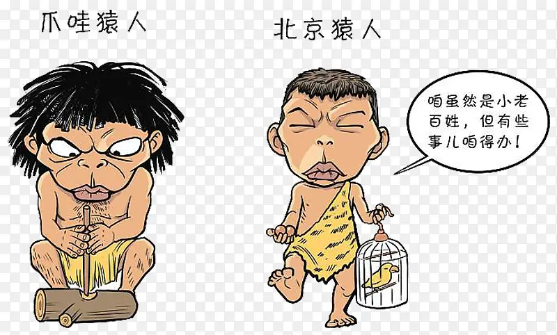 猿人种类PNG图片素材下载_图片编号8804529-PNG素材网