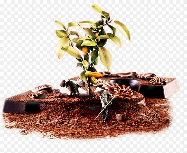 依蒂安斯可可纯黑巧克力种植图