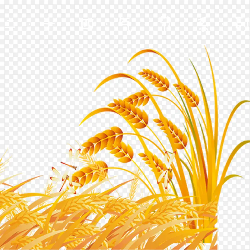 金色小麦小满装饰