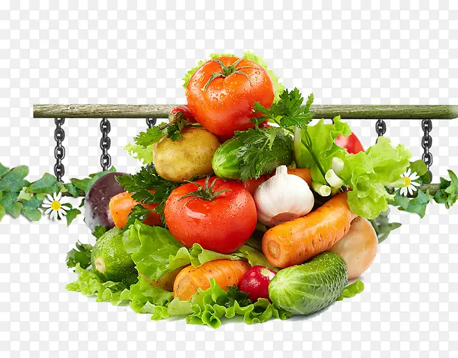 蔬菜和栅栏