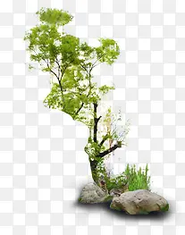 树PNG图片素材下载_图片编号8813291-PNG素材网