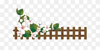 篱笆花朵