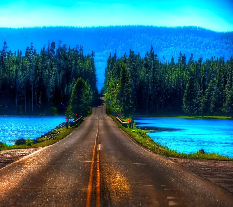 蓝色环境渲染树林马路湖面高清摄影合成