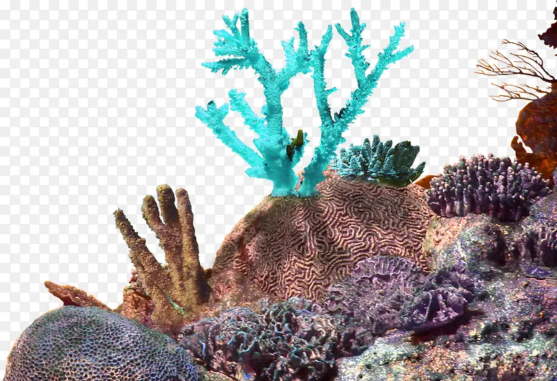 褐色简约珊瑚边框纹理