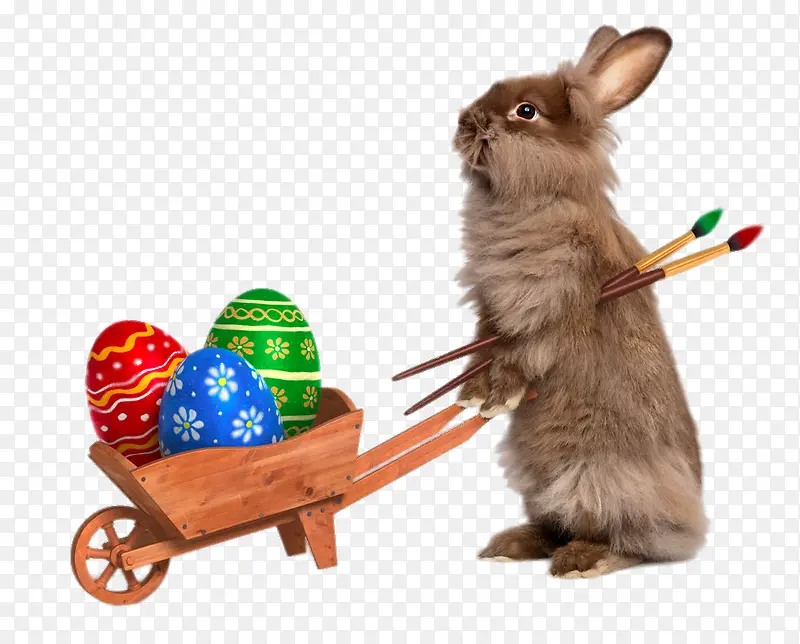 创意推着板车的兔子