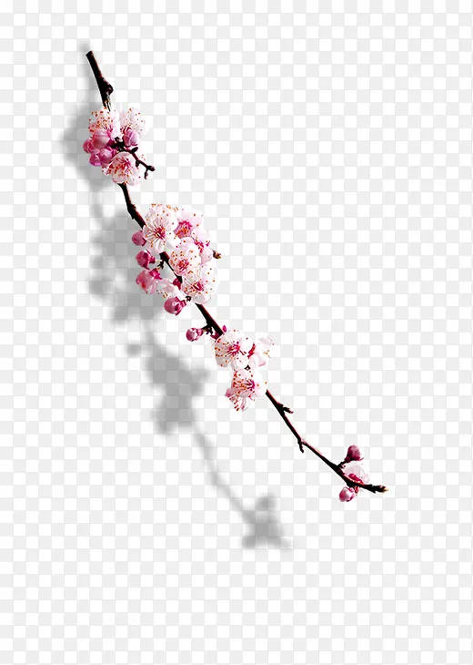 一枝梅花PNG图片素材下载_图片编号8833151-PNG素材网