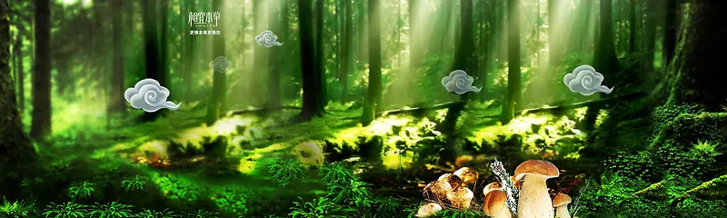 神秘森林里的蘑菇