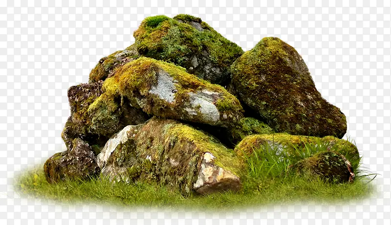 草地上的石头