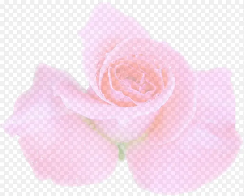 粉色玫瑰花婚礼三折页图片