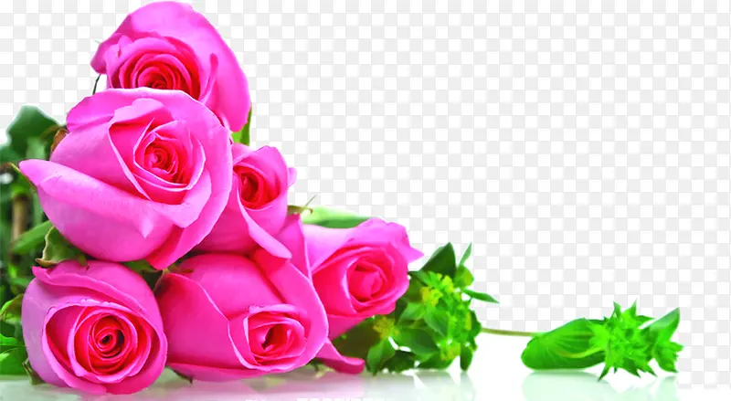 粉色堆放玫瑰花元素
