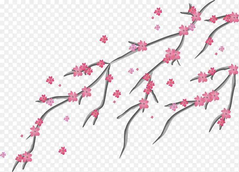 粉色樱桃树枝