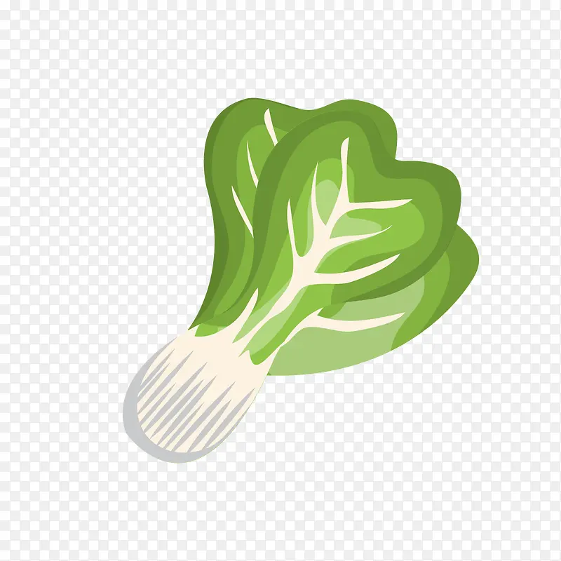 一棵白绿色卡通蔬菜