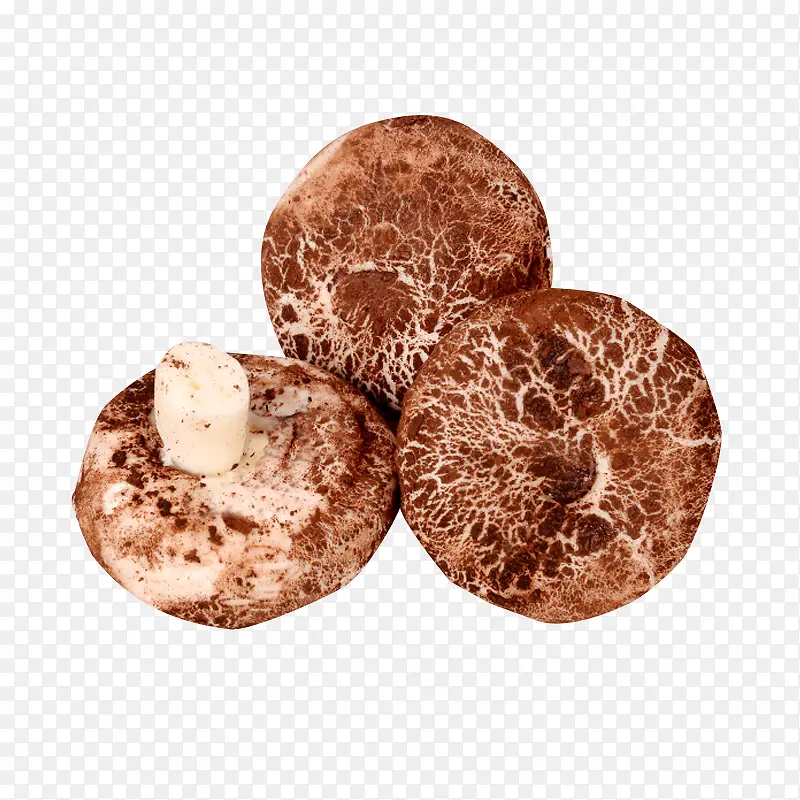 蘑菇包肉包子特色包子素材