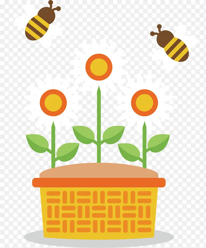 向日葵蜜蜂