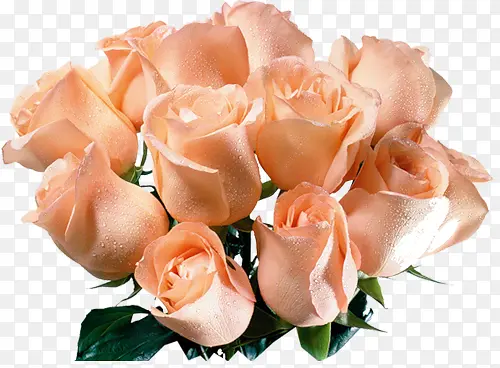 一束粉红玫瑰花装饰图片