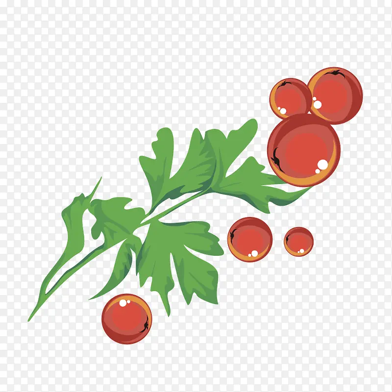 红色番茄绿色树叶