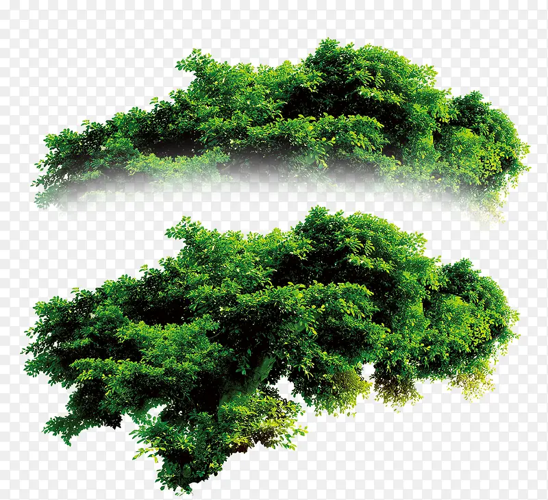 绿色简约树林装饰图案