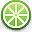 fruit lime icon