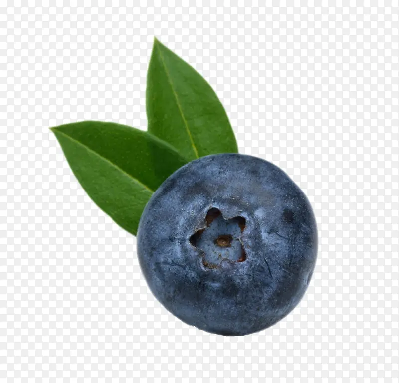 实物蓝色带叶子野生蓝莓