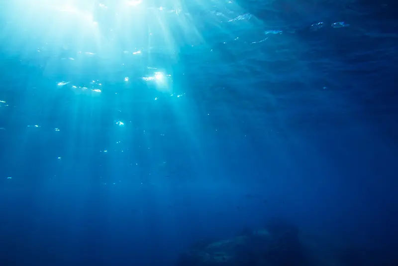 水下摄影海底世界