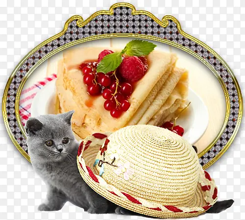女帽灰色猫