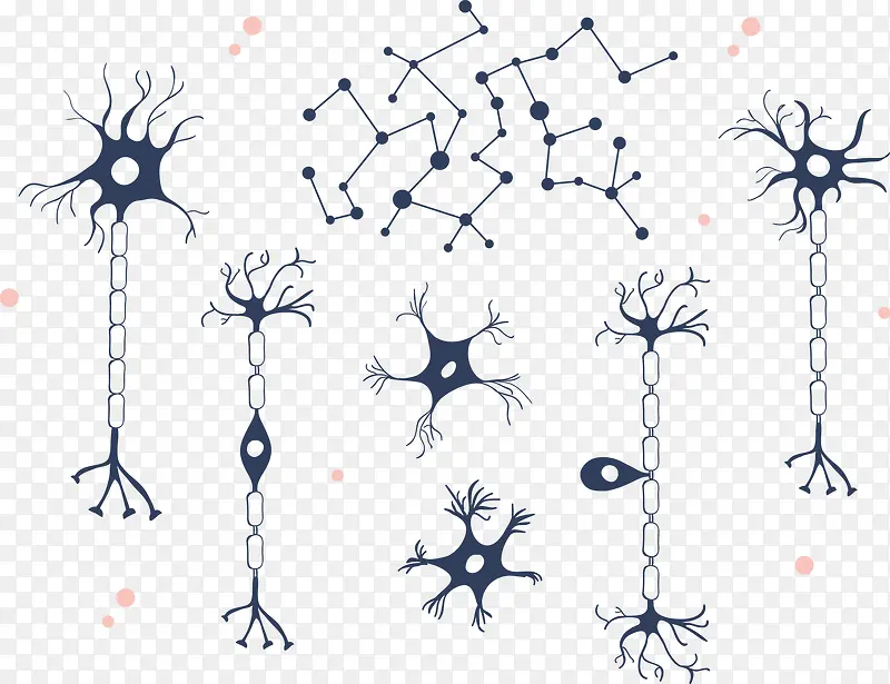 可爱简约医学神经细胞矢量图
