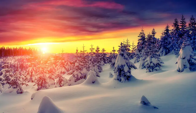 阳光天空雪地树林