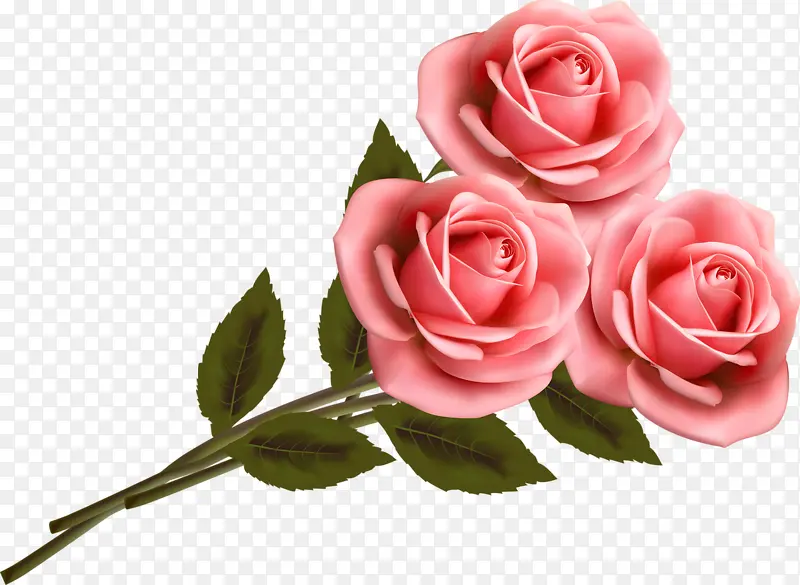 三朵粉色玫瑰