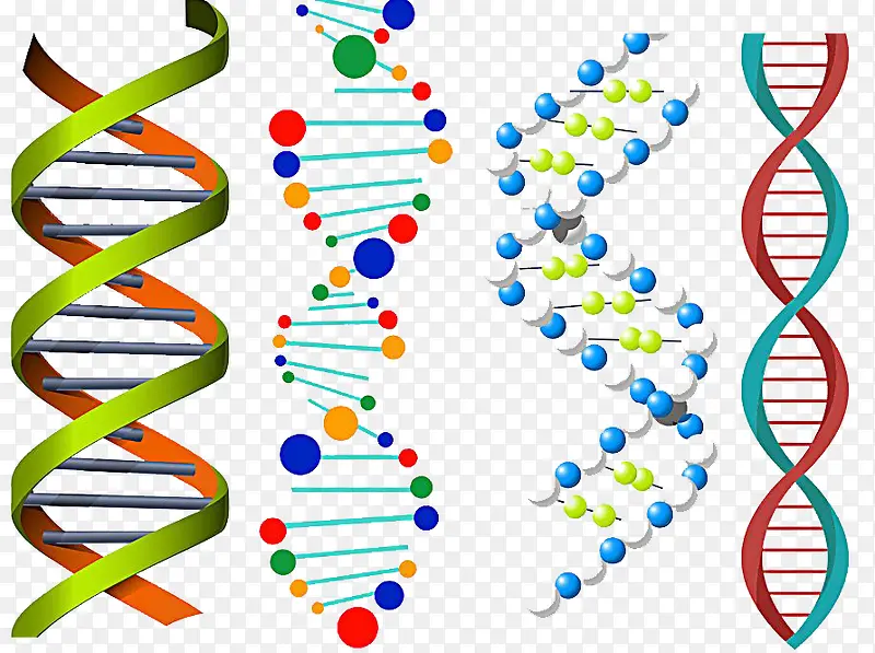彩色DNA双螺旋图形