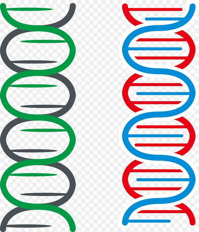 简约基因链矢量图