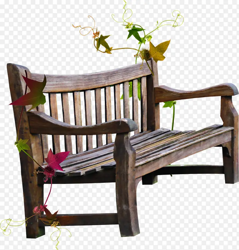 木制长椅和藤蔓