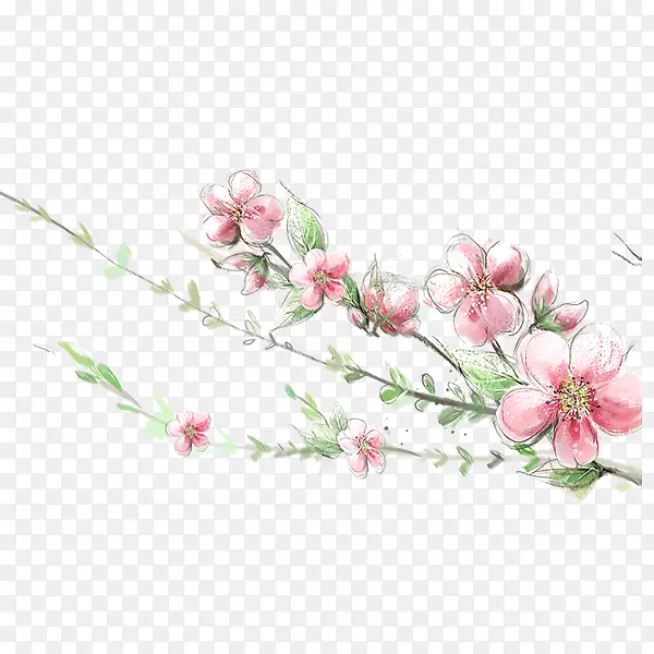 手绘的桃花枝PNG图片素材下载_图片编号8875998-PNG素材网