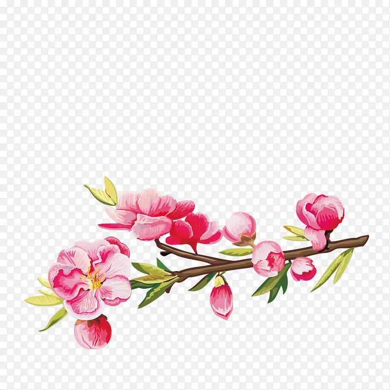 粉色的桃花